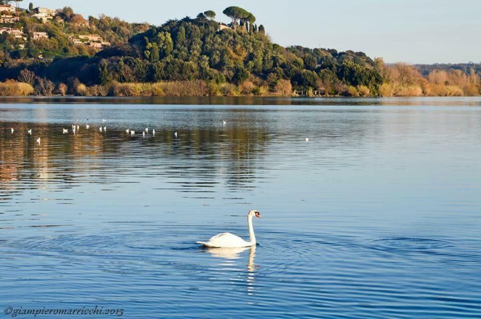 Pepe Apartment -Lago Di Bracciano Trevignano Romano Eksteriør billede